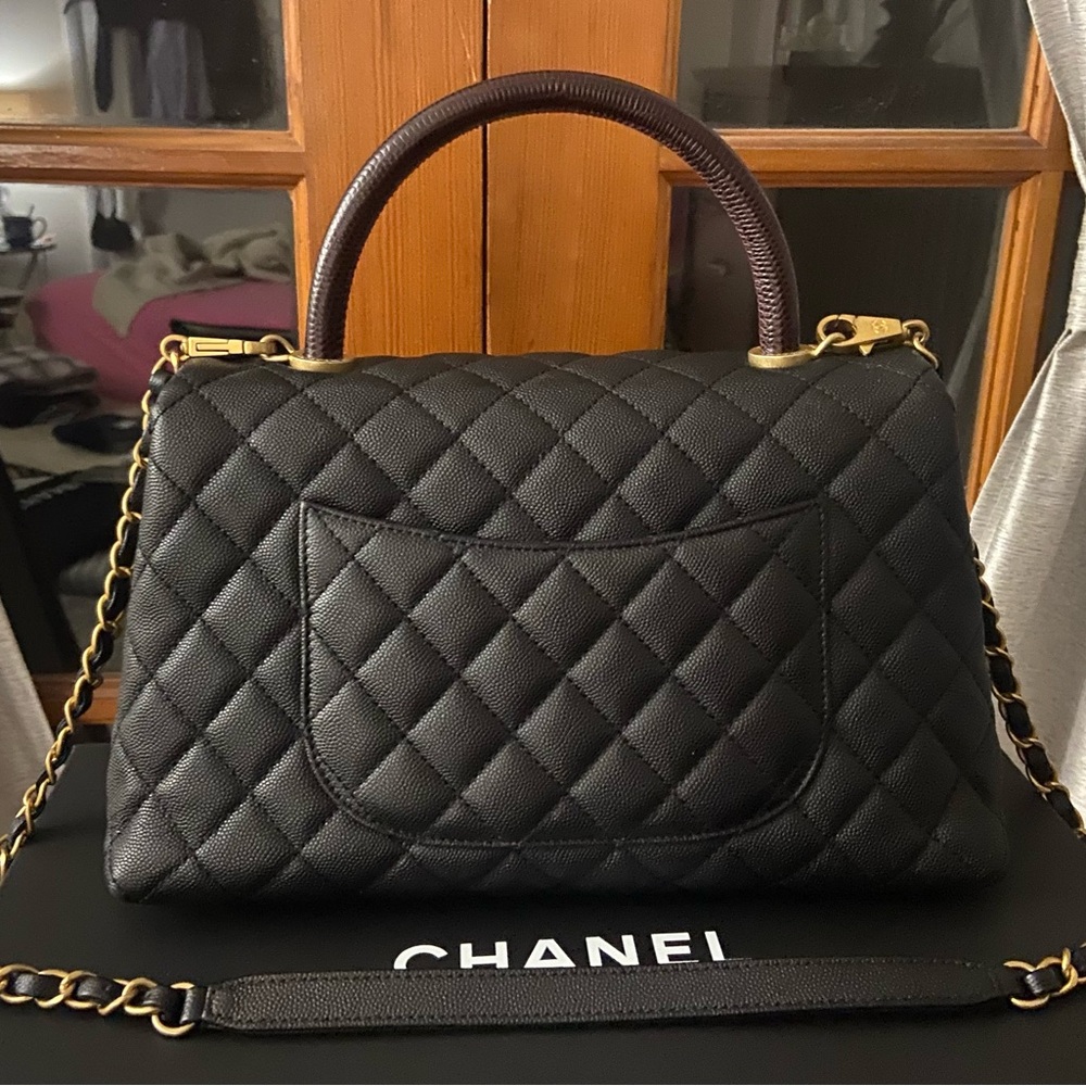 CHANEL Python-Trimmed Medium Coco Handle Bag - Picture 2 of 10